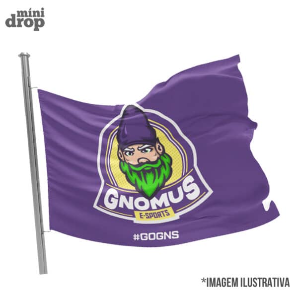 bandeira-gnomus bandeira time esports